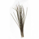Jmc Herl De Paon Naturel - casapintat - DE CHARETTE MOUCHES